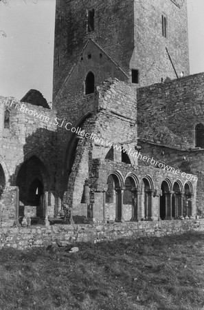 JERPOINT ABBEY DETAILS CLOISTERS